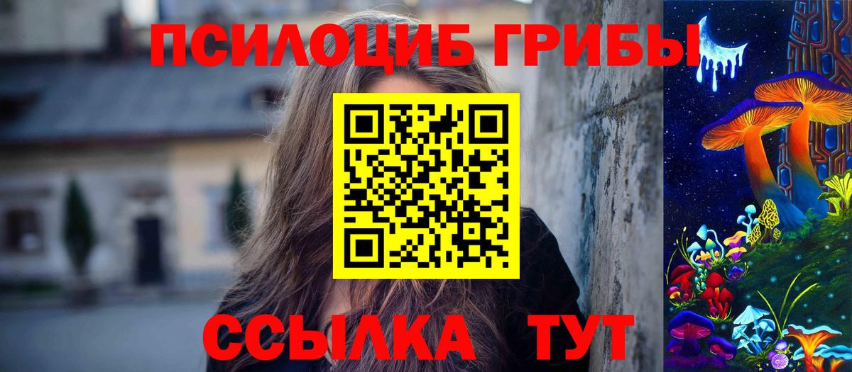 Псилоцибиновые грибы Cubensis Шатура