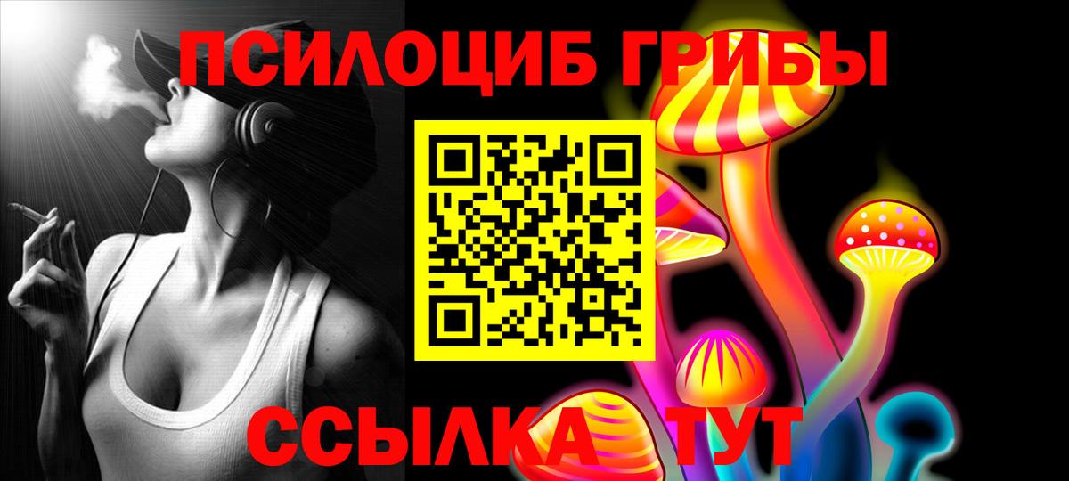 как найти закладки  Псилоцибиновые грибы MAGIC MUSHROOMS  Вход с VPN  Галлюциногенные грибы Psilocybe  Шатура 